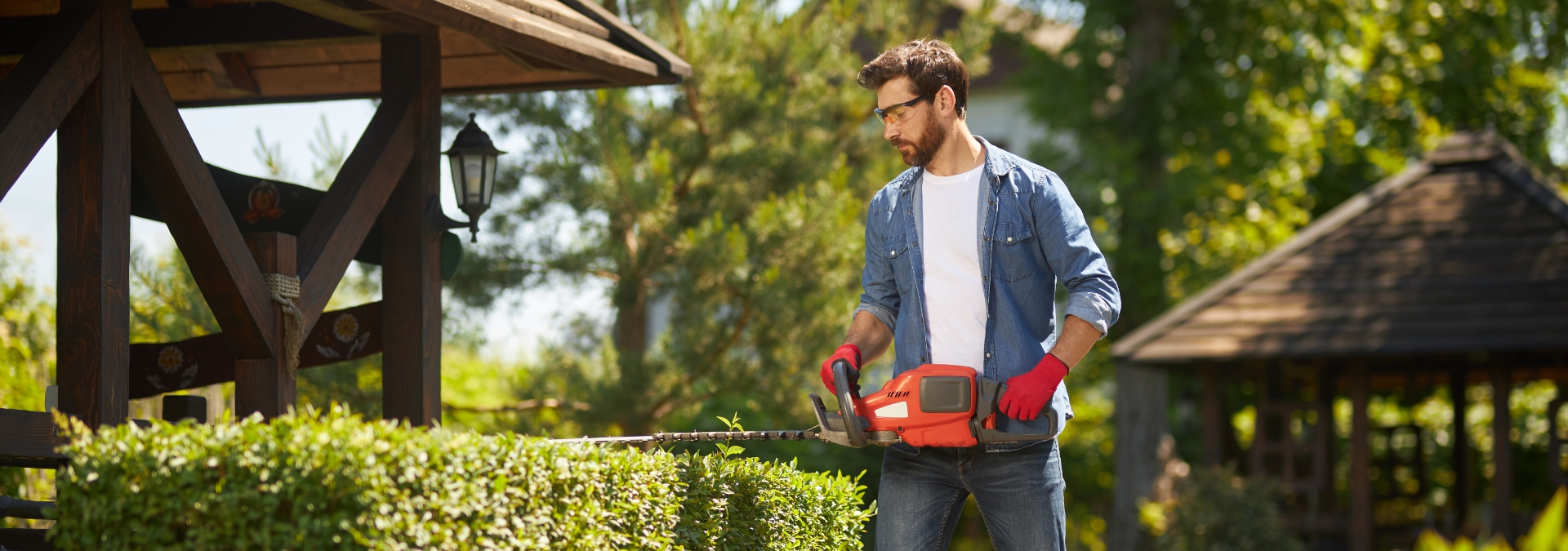 caucasian-male-gardener-shaping-overgrown-boxwood-bush-by-hedge-trimmer-garden-front-view